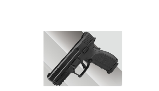 BRG GUN GROUP